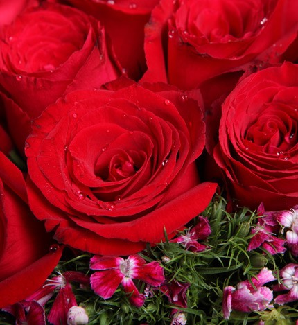 开云最新注册入口