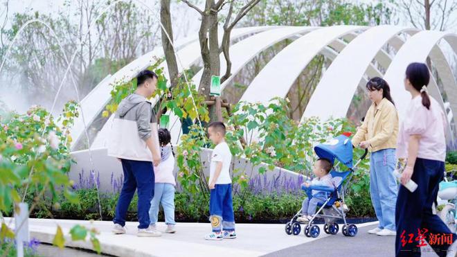 我在成都逛花市！“花样”玩法体验不一样的花卉美学(图2)