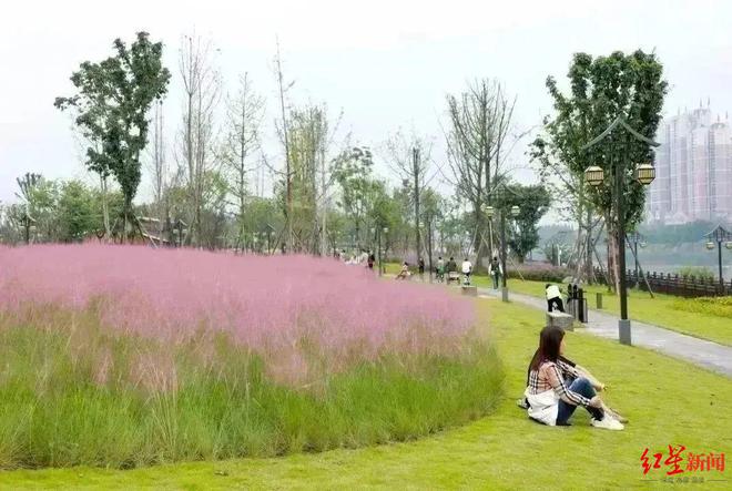 我在成都逛花市！“花样”玩法体验不一样的花卉美学(图7)
