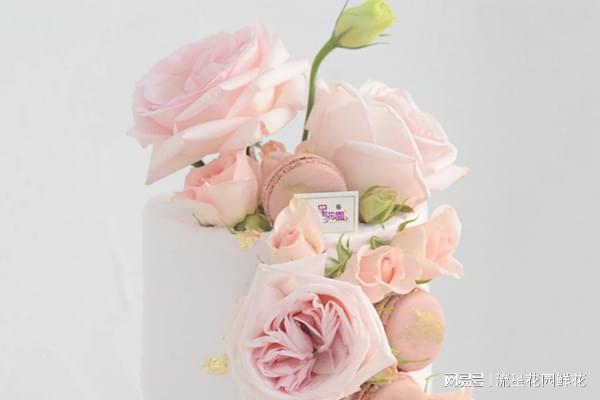 云南国色添香花卉流星花园鲜花帮助创业者轻松抢市场(图1)