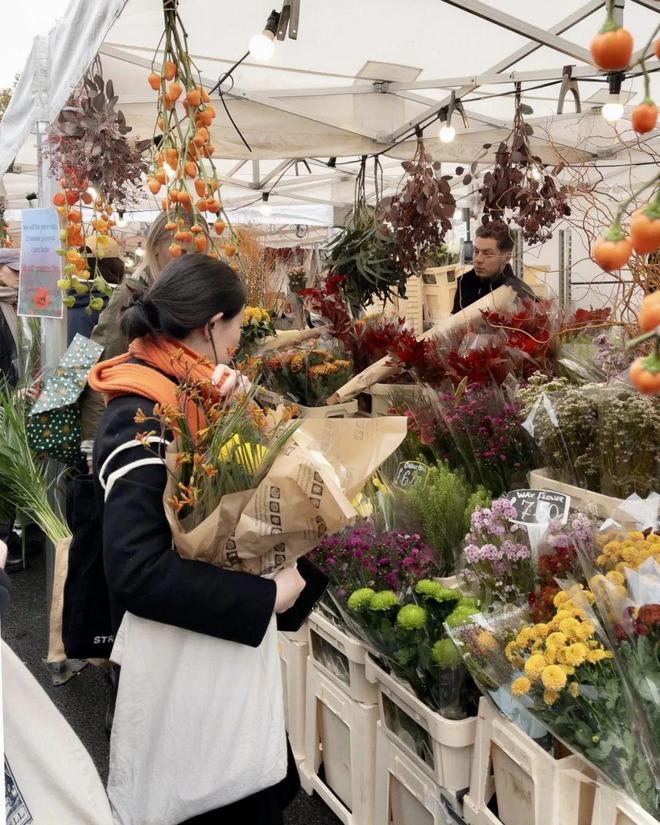 思南迎新季「冬日花市」买花攻略来啦！过百种花卉等你来撩！(图4)