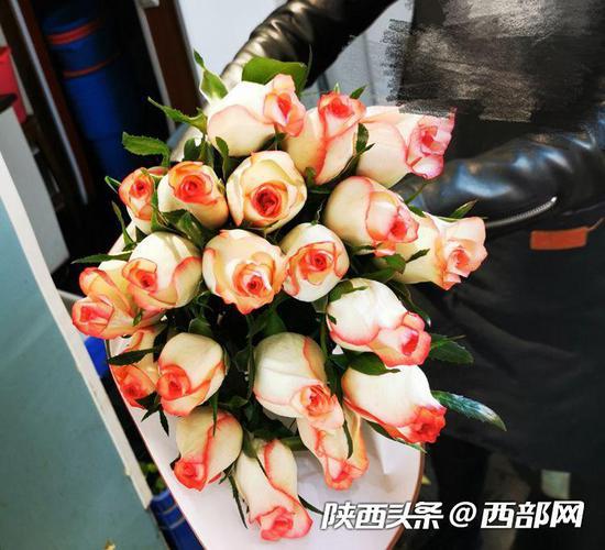 西安花卉市场逐渐回暖 供应充足低价售卖(图3)