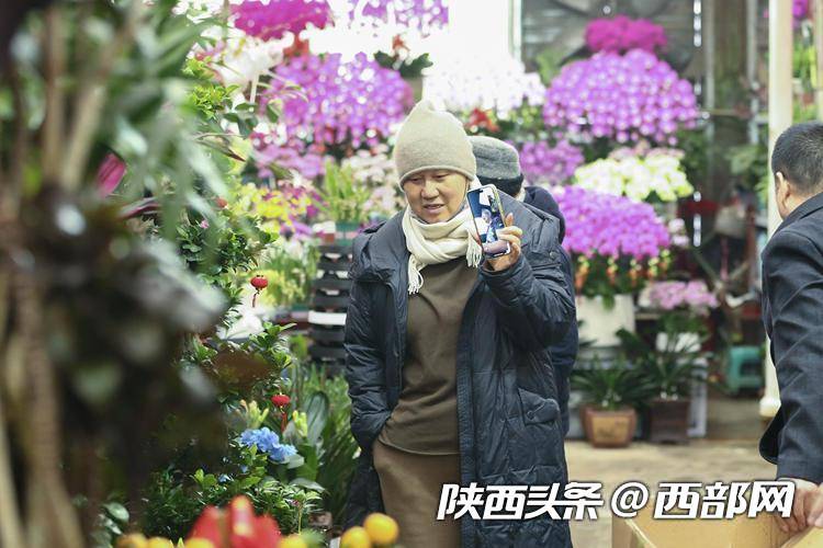 年宵花走俏!年味儿越来越浓 西安花卉市场持续升温(图2) 年宵花走俏!年味儿越来越浓 西安花卉市场持续升温(图2)