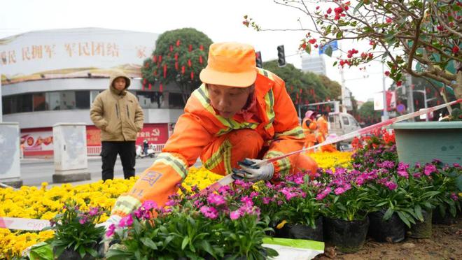 “花”样迎新年！4万盆花卉扮靓百色城区(图2)