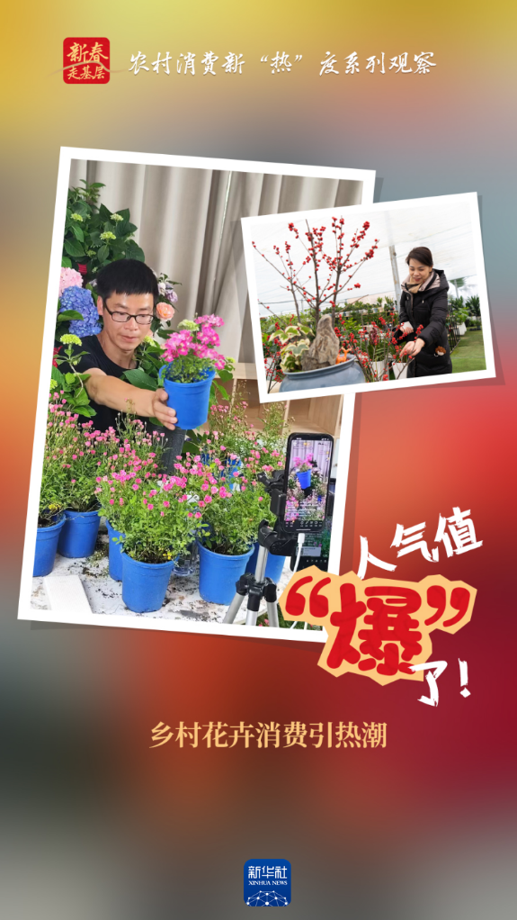 农村消费新“热”度系列观察丨人气值“爆”了！乡村花卉消费引热潮(图1)