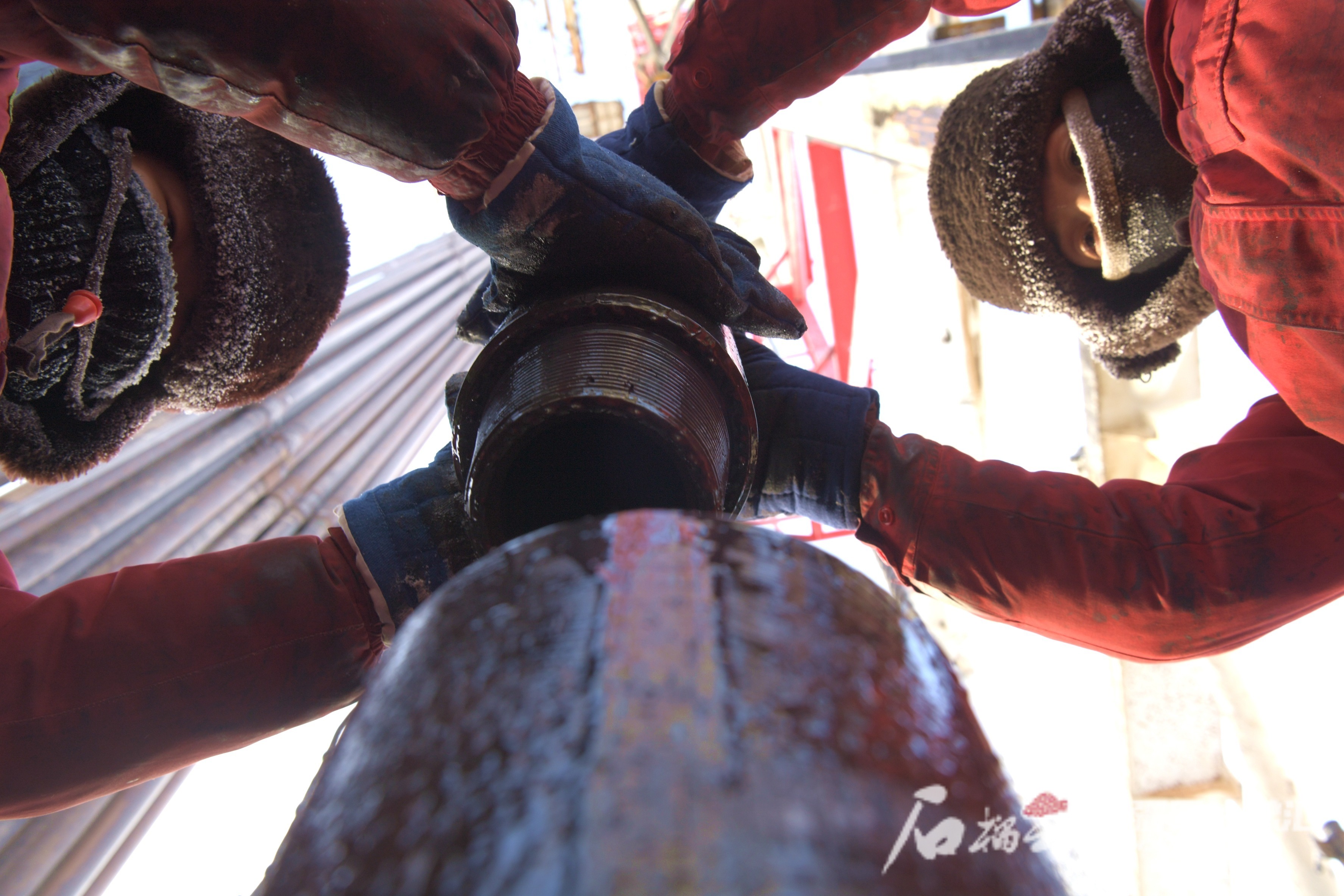 贴窗花、选饰品、购鲜花……迎新年的氛围来了!(图6) 贴窗花、选饰品、购鲜花……迎新年的氛围来了!(图6)