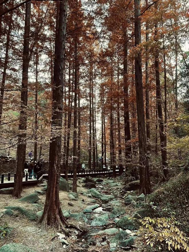 邓云·花间集丨且行且绘且绘且思乐在其间(图3)