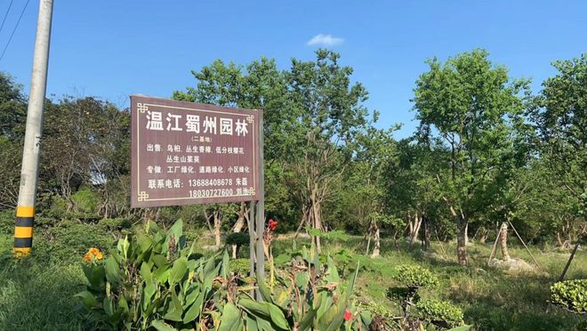 好福企·公益慈善25强（二）｜纯真鑫星耀金桥包装银龙药业蜀州园艺申蓉兴泓(图8)