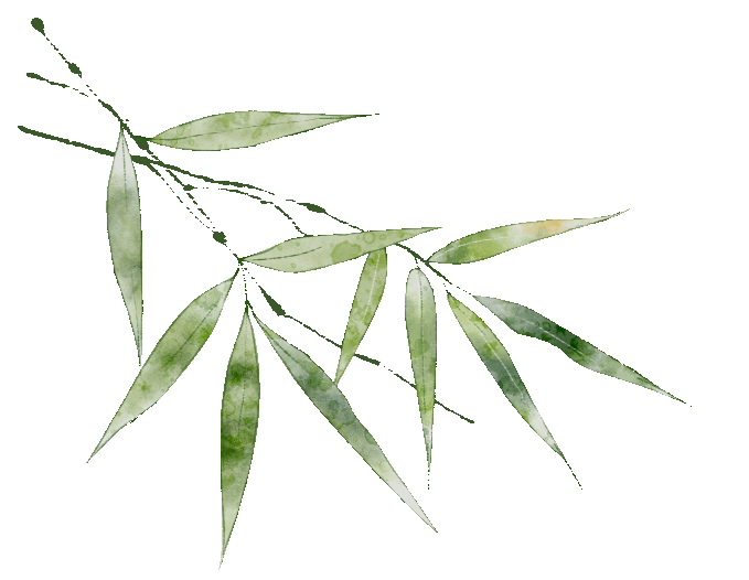 就在明天即将开启(图7)