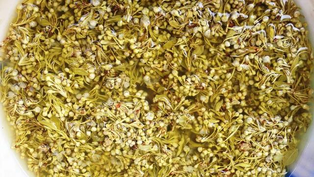 “花样”昆明 如何打造鲜花美食城市IP(图8) “花样”昆明 如何打造鲜花美食城市IP(图8)