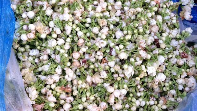 “花样”昆明 如何打造鲜花美食城市IP(图9) “花样”昆明 如何打造鲜花美食城市IP(图9)