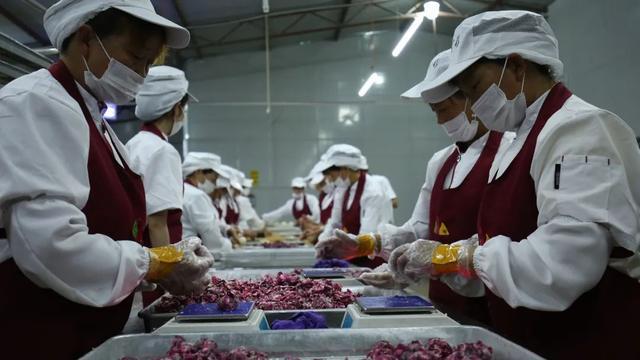 “花样”昆明 如何打造鲜花美食城市IP(图11) “花样”昆明 如何打造鲜花美食城市IP(图11)