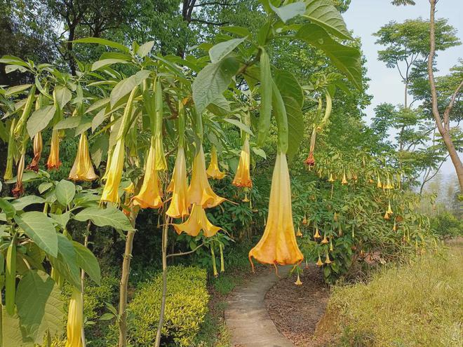 赏花、观星、露营这个“五一” 来榕山通数沟生态园好好玩！(图2)