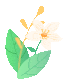 赏春意做手作玩游戏赢好礼……魔都花漾市集逛出花样(图1)