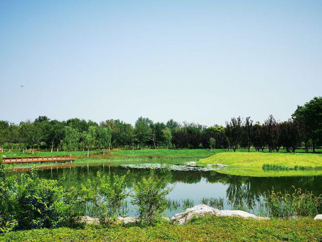 中海丰和叁号院（北京丰台郭公庄）丰和叁号院改善大平层楼盘资料(图6)